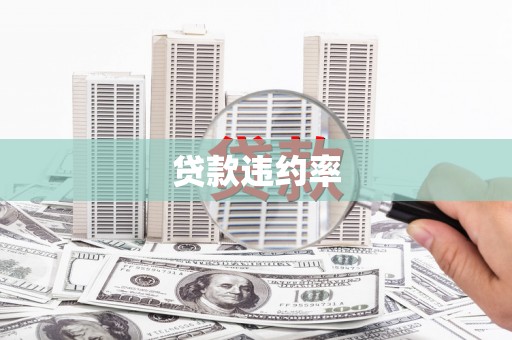巴塘贷款违约率