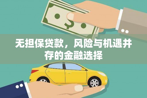 巴塘无担保贷款，风险与机遇并存的金融选择