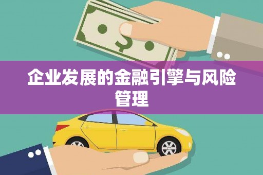 巴塘企业发展的金融引擎与风险管理