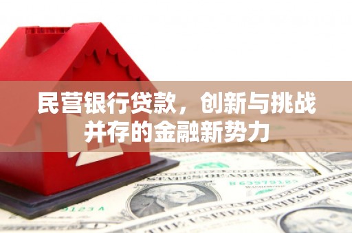 巴塘民营银行贷款，创新与挑战并存的金融新势力