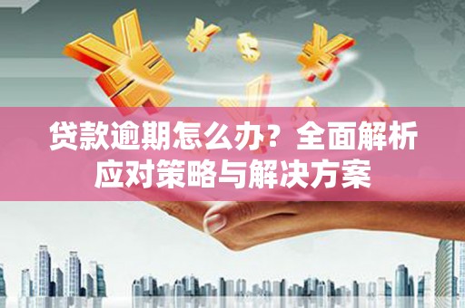 巴塘贷款逾期怎么办？全面解析应对策略与解决方案