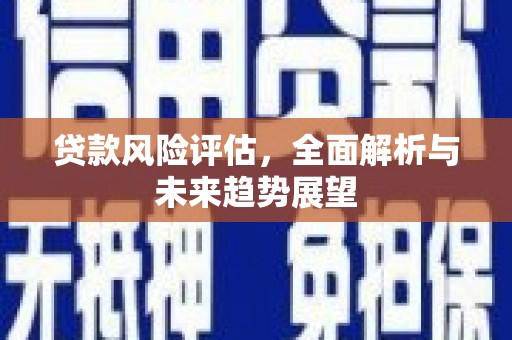 巴塘贷款风险评估，全面解析与未来趋势展望