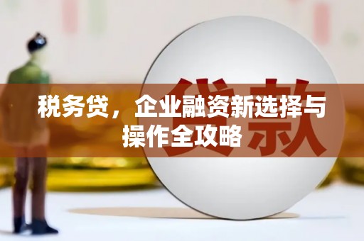 巴塘税务贷，企业融资新选择与操作全攻略