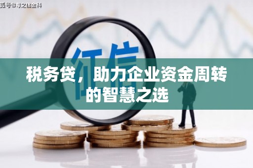 巴塘税务贷，助力企业资金周转的智慧之选
