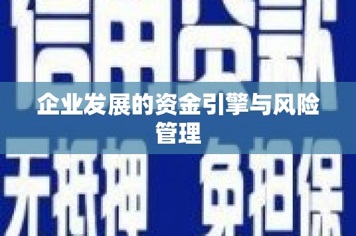 巴塘企业发展的资金引擎与风险管理