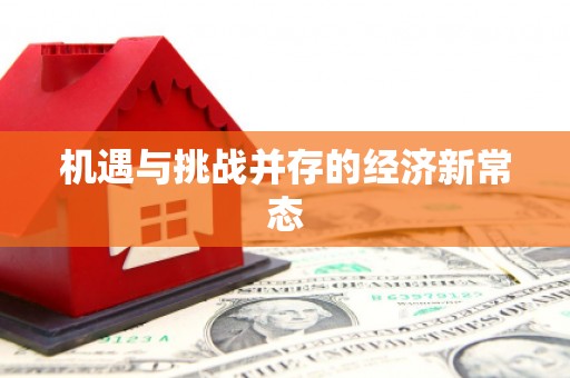 巴塘机遇与挑战并存的经济新常态