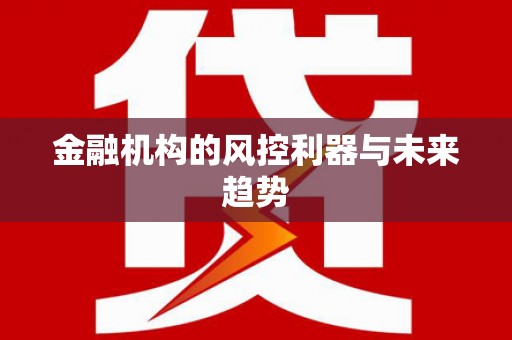 巴塘金融机构的风控利器与未来趋势