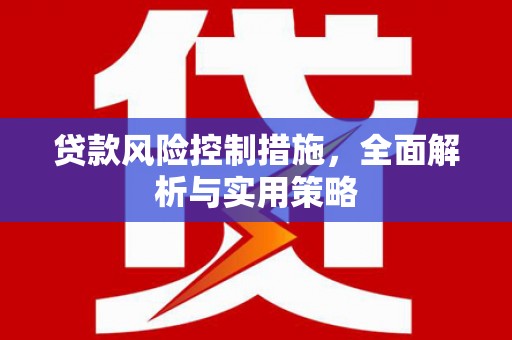 巴塘贷款风险控制措施，全面解析与实用策略