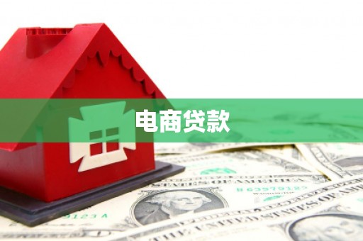 巴塘电商贷款