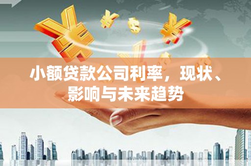 巴塘小额贷款公司利率，现状、影响与未来趋势