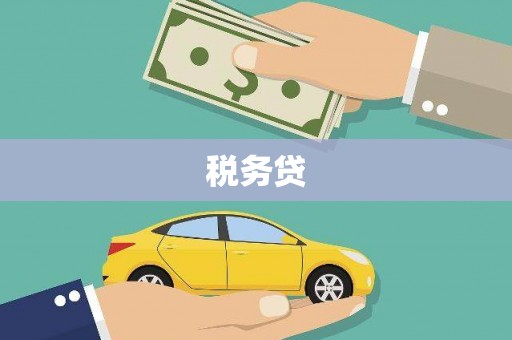巴塘税务贷