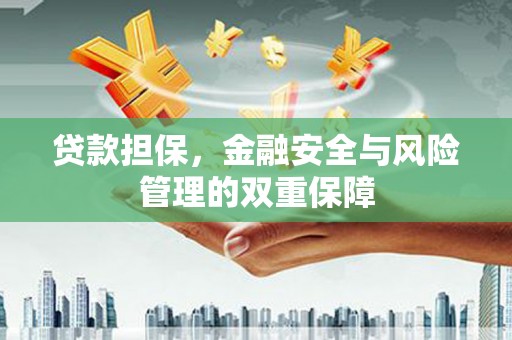 巴塘贷款担保，金融安全与风险管理的双重保障