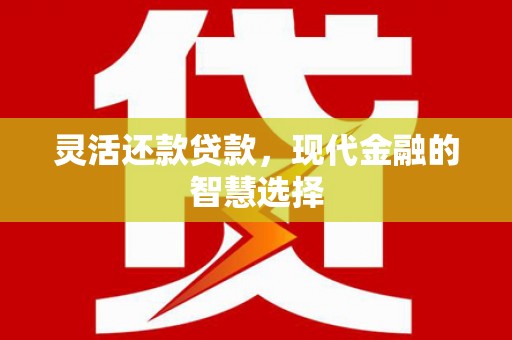 巴塘灵活还款贷款，现代金融的智慧选择