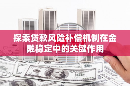 巴塘探索贷款风险补偿机制在金融稳定中的关键作用