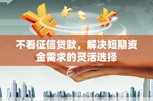 巴塘不看征信贷款，解决短期资金需求的灵活选择