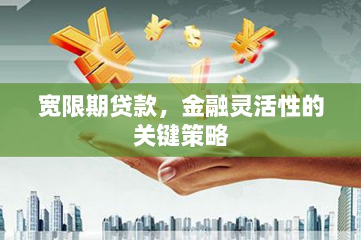 巴塘宽限期贷款，金融灵活性的关键策略