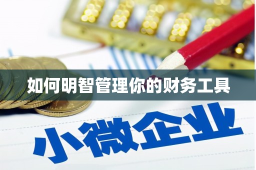 巴塘如何明智管理你的财务工具