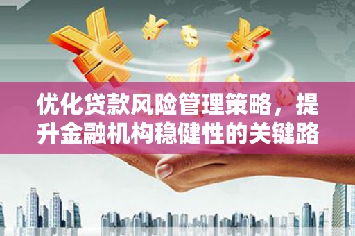 巴塘优化贷款风险管理策略，提升金融机构稳健性的关键路径
