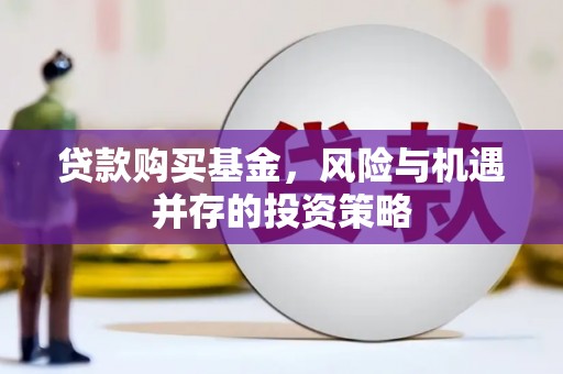 巴塘贷款购买基金，风险与机遇并存的投资策略