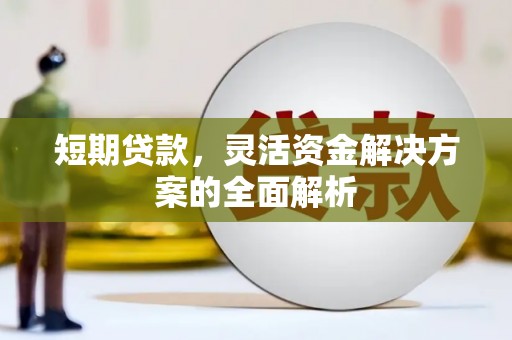 巴塘短期贷款，灵活资金解决方案的全面解析