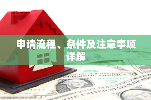 巴塘申请流程、条件及注意事项详解
