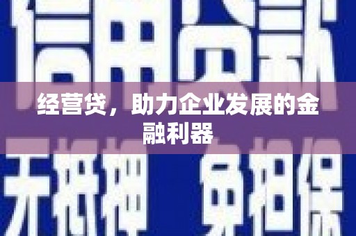 巴塘经营贷，助力企业发展的金融利器