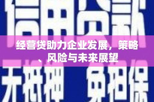 巴塘经营贷助力企业发展，策略、风险与未来展望
