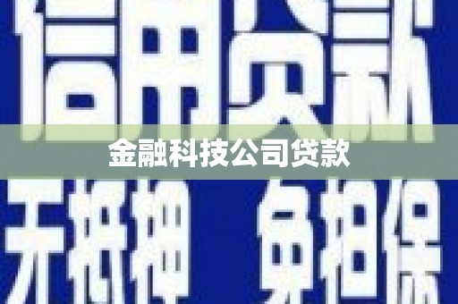 巴塘金融科技公司贷款