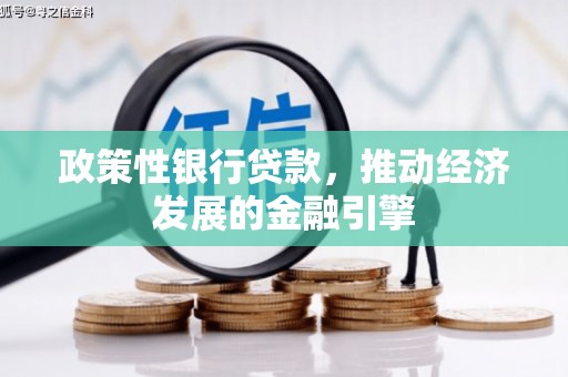 巴塘政策性银行贷款，推动经济发展的金融引擎