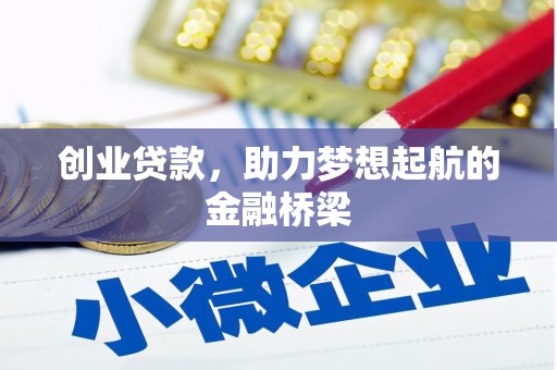 巴塘创业贷款，助力梦想起航的金融桥梁