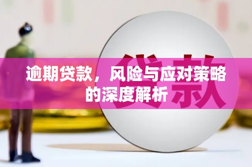 巴塘逾期贷款，风险与应对策略的深度解析