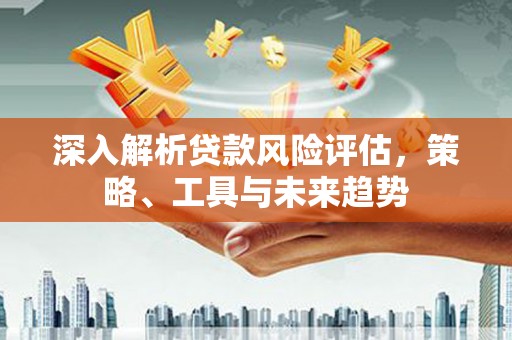 巴塘深入解析贷款风险评估，策略、工具与未来趋势