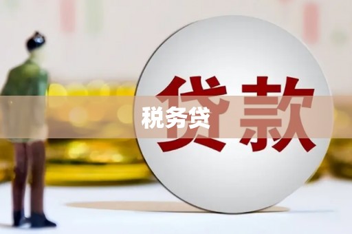 巴塘税务贷