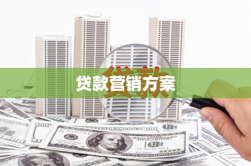 巴塘贷款营销方案