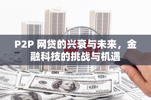 巴塘P2P 网贷的兴衰与未来，金融科技的挑战与机遇