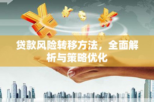 巴塘贷款风险转移方法，全面解析与策略优化