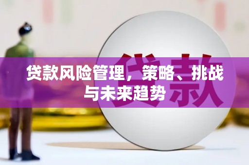巴塘贷款风险管理，策略、挑战与未来趋势