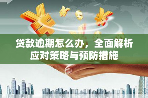 巴塘贷款逾期怎么办，全面解析应对策略与预防措施
