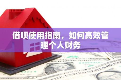巴塘借呗使用指南，如何高效管理个人财务