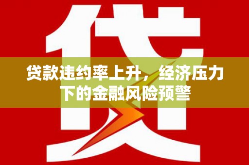 巴塘贷款违约率上升，经济压力下的金融风险预警