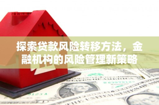 巴塘探索贷款风险转移方法，金融机构的风险管理新策略
