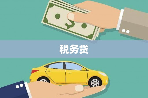 巴塘税务贷