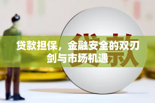 巴塘贷款担保，金融安全的双刃剑与市场机遇