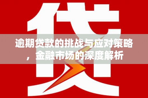 巴塘逾期贷款的挑战与应对策略，金融市场的深度解析