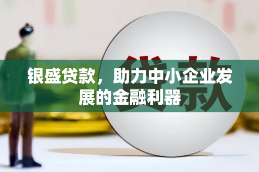 巴塘银盛贷款，助力中小企业发展的金融利器