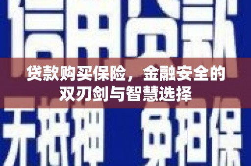 巴塘贷款购买保险，金融安全的双刃剑与智慧选择