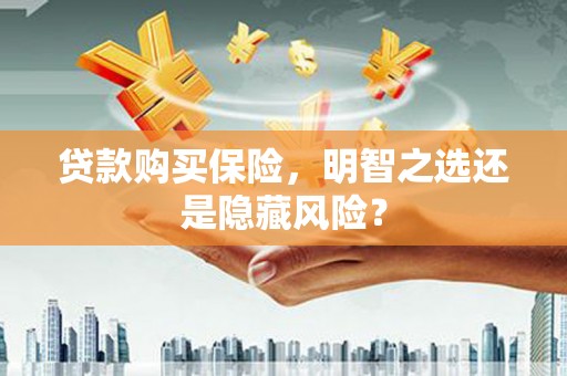 巴塘贷款购买保险，明智之选还是隐藏风险？