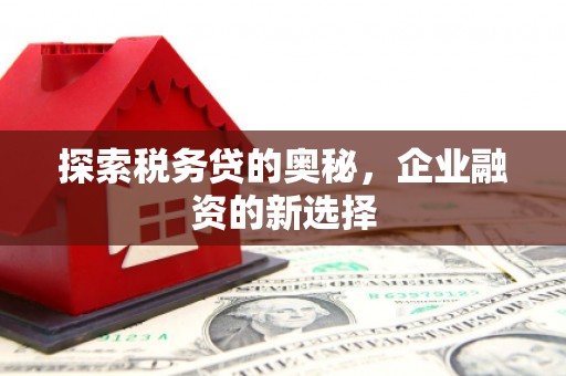 巴塘探索税务贷的奥秘，企业融资的新选择