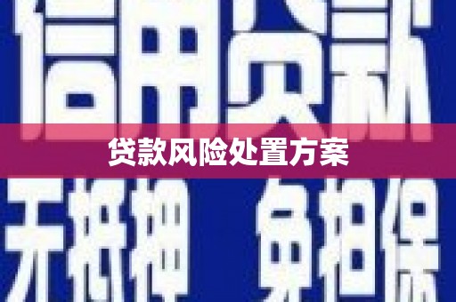 巴塘贷款风险处置方案