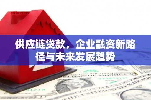巴塘供应链贷款，企业融资新路径与未来发展趋势